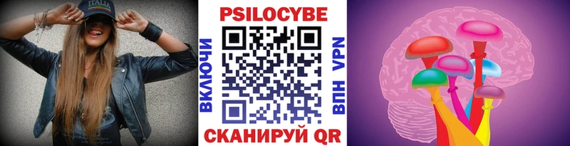 Псилоцибиновые грибы Psilocybe как найти наркотики mega tor Удачный